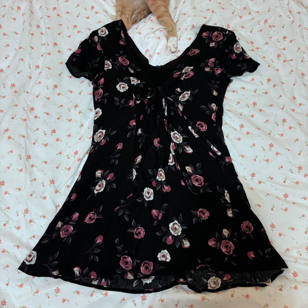 Dollskill Mini dress